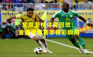 北京卫视体育回放:重温京城赛事精彩瞬间
